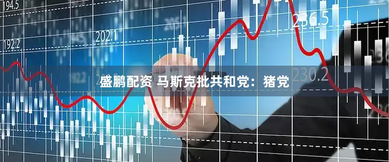 盛鹏配资 马斯克批共和党：猪党