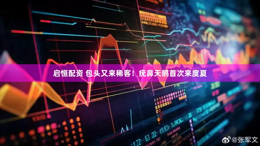 启恒配资 包头又来稀客！疣鼻天鹅首次来度夏