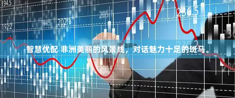 智慧优配 非洲美丽的风景线，对话魅力十足的斑马。