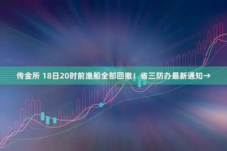 传金所 18日20时前渔船全部回撤！省三防办最新通知→